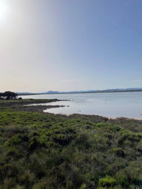 İspanya 'nın güney kesiminde tahta yol. Ulusal Park Natural de las Lagunas. 2022
