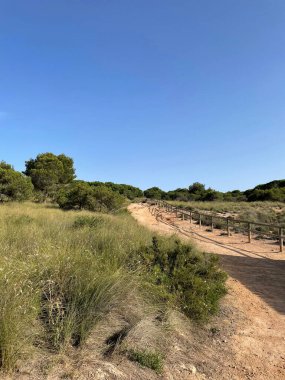 Ulusal Park Natural de las Lagunas 'ta ilginç bir manzara. 2022