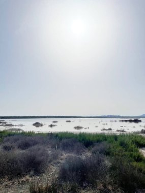 Ulusal Park Natural de las Lagunas 'ta ilginç bir manzara. 2022