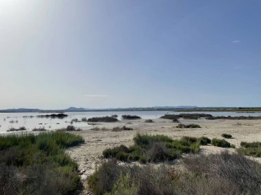 Ulusal Park Natural de las Lagunas 'ta ilginç bir manzara. 2022
