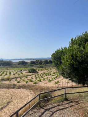 Ulusal Park Natural de las Lagunas 'ta ilginç bir manzara. 2022