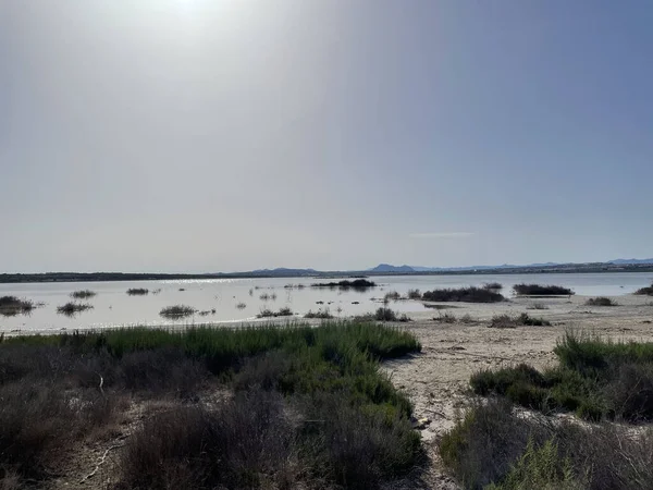 Paesaggio Interessante Nel Parco Nazionale Del Parco Naturale Delle Lagune — Foto Stock