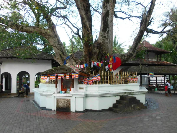 Bella Architettura Nel Tempio Buddista Dello Sri Lanka — Foto Stock