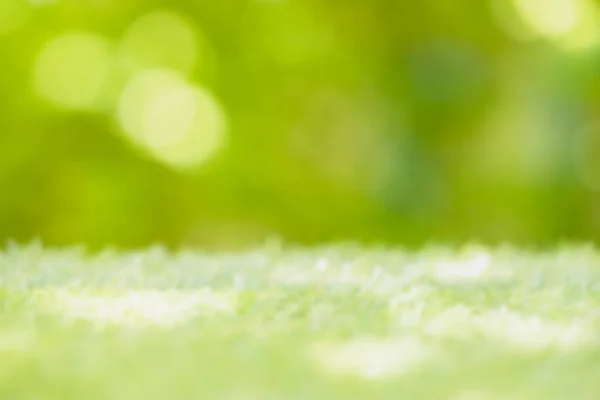 Verwischen Frisches Grünes Gras Feld Natürliche Kulisse Sommer Hell Raum — Stockfoto