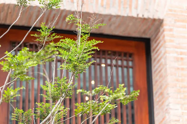 新鮮な空気の浄化とUv熱保護のための緑のオゾンのための植物の木と現代の家庭のエコオフィスビル省エネ — ストック写真