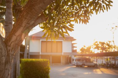 Yaz mevsimi ağacı. Güneş ışığı, bulanık ev arkaplanı. Güzel bir köy gün batımı.