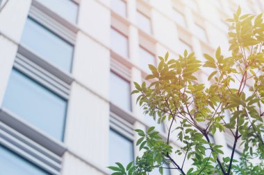 Eko yeşil ofis enerji tasarrufu kavramı