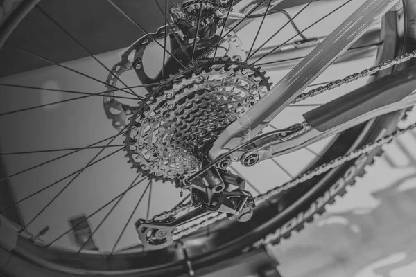 자전거 뒷바퀴 카세트 디스크 브레이크 장치가 뒷부분 백합을 흑백이다 — 스톡 사진