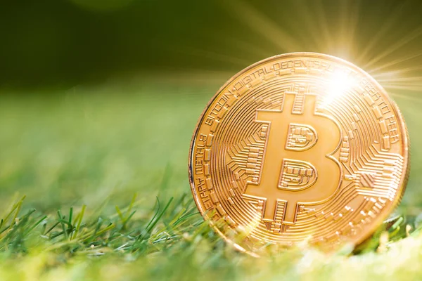 Bitcoin Moneda Oro Criptomoneda Para Futuro Dinero Concepto Financiero Con — Foto de Stock