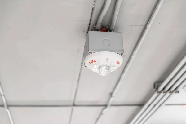 Detector Incêndio Teto Fumaça Sensor Alarme Chama Equipamentos Segurança Edifícios — Fotografia de Stock