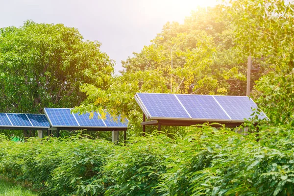 Solární Panel Lesní Elektrárenské Věži Kolem Zeleným Stromem Krajinné Oblasti — Stock fotografie