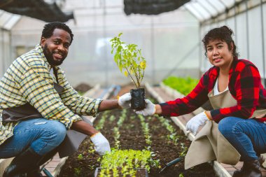 İnsanlar her 5 Haziran 'da birlikte yeni bir ağaç dikerek dünya çevresini kutluyor.