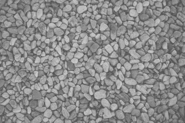 Kleine Kiezelsteen Stenen Natuur Patroon Textuur Voor Achtergrond Zwart Wit — Stockfoto