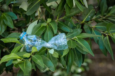 Plastik Şişe Çöpü Atıklar Yeşil Ağaç 'ın kirli ormanına çarpıyor.