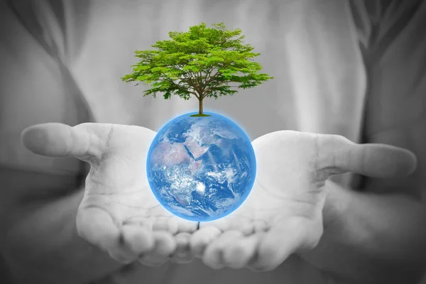 People Hand Blue Earth Green Tree Together Help Saving Environment — 图库照片