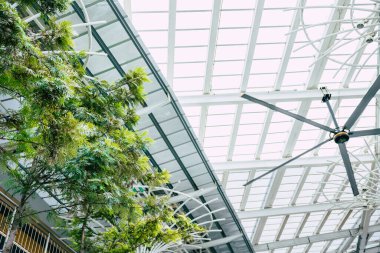 large area indoor living mall with green tree HVLS fan for cooling air flow and sunlight glass roof for eco building saving energy
