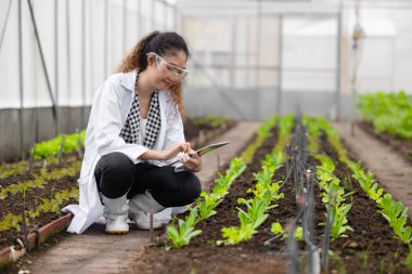 Scientist woman researcher staff worker collecting study plant information in agriculture farm. Agricultural Science concept.