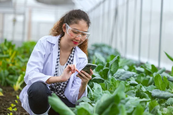 Scientist woman researcher staff worker collecting study plant information in agriculture farm. Agricultural Science concept.