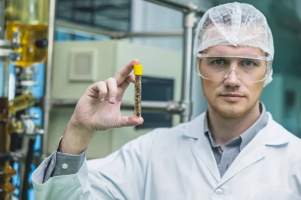 Trabajador Científico Con Flores Cáñamo Secas Fábrica Medicina Técnico Plantas — Foto de Stock