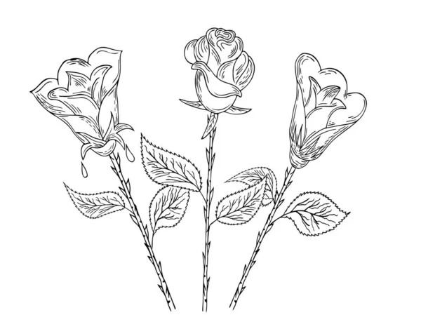 Простая Роза Контурный Рисунок Белом Фоне Оформления Приглашений Открыток Тканевой — стоковый вектор