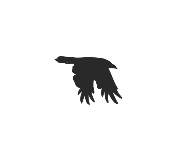 Mão desenhado vetor abstrato estoque plana ilustração gráfica com elemento logotipo, místico tribal linha mágica silhueta arte de voar corvo em estilo simples para branding, isolado no fundo branco. — Vetor de Stock