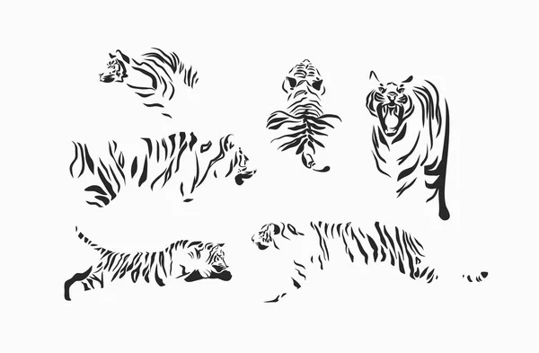 Handgezeichnet Vektor abstrakte Stock Grafik Cartoon-Illustrationen mit Schönheit niedlichen trendigen Wildtiere weiß, Zeichnung Tiger, schwarz-weiße Textur isoliert auf weißem Hintergrund. Chinesisches Neujahrskonzept. — Stockvektor