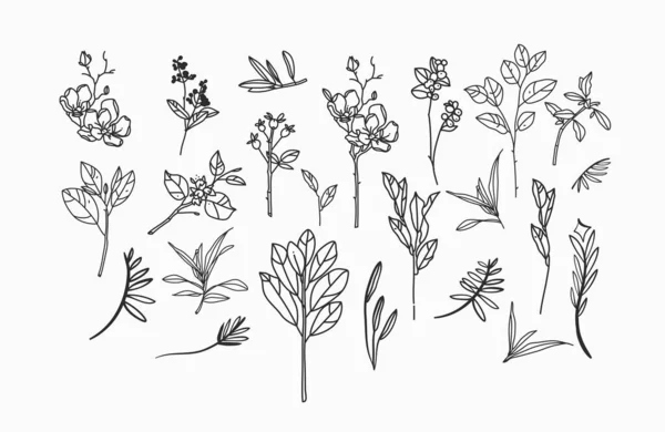 Χειροποίητο διάνυσμα αφηρημένο απόθεμα επίπεδη εικονογράφηση συλλογή σύνολο δέσμη με στοιχεία λογότυπο, μποέμικο μαγεία γραμμή τέχνης από μυστικιστικά λουλούδια και φυτά, θηλυκό απλό στυλ για branding. — Διανυσματικό Αρχείο