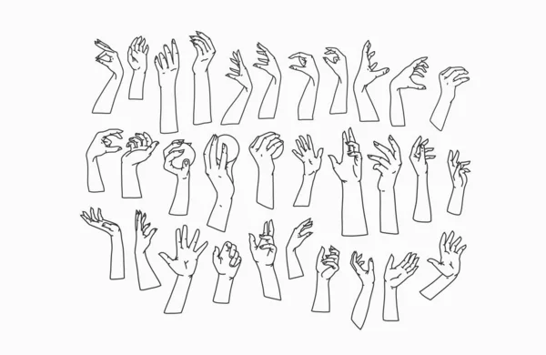 Womans Mão Coleção Linha Set Bundle Vetor Feminino Ilustrações Mãos —  Vetores de Stock