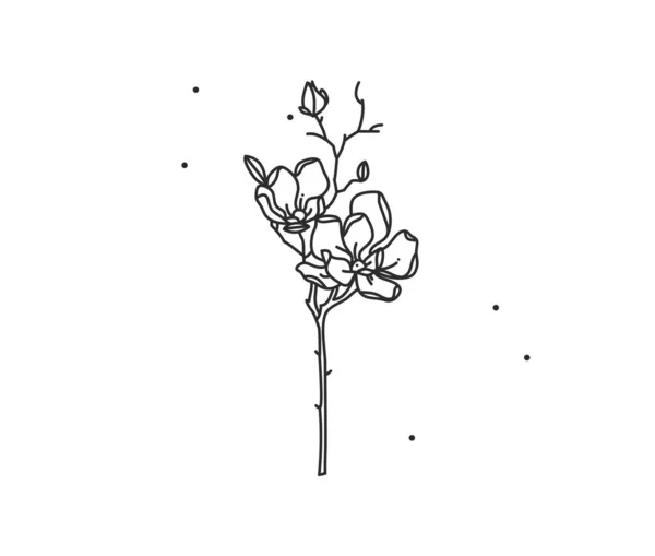 Vector Set Hand Drawn Line Art Flowers Leaves Plants Continuous — 스톡 벡터
