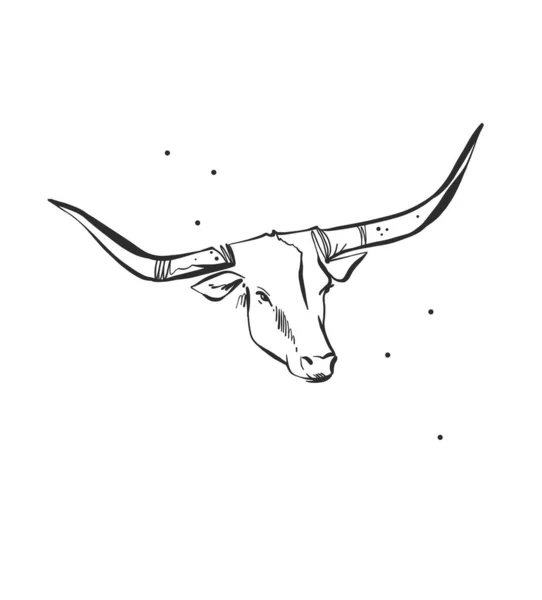 Hand Drawn Abstract Vector Graphic Clipart Illustration Boho Bull Head — Stok Vektör