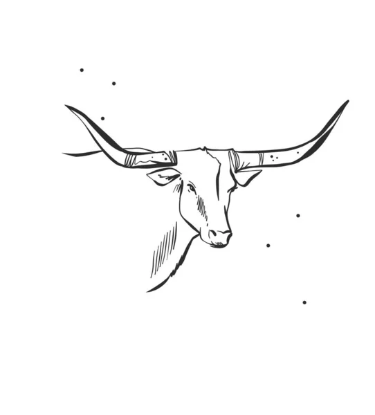 Dibujado Mano Abstracto Vector Gráfico Clipart Ilustración Cabeza Toro Boho — Vector de stock