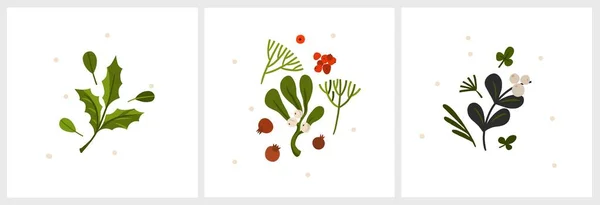 Weihnachten Aquarell Von Strauß Beeren Und Grünen Blättern Arrangements Gesetzt — Stockvektor