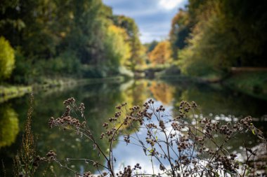 Sokolniki 'de altın sonbahar