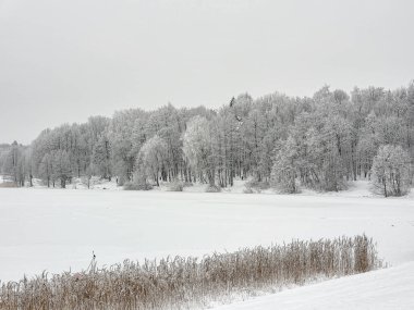 İzmailovo 'da kış 2021 Moskova