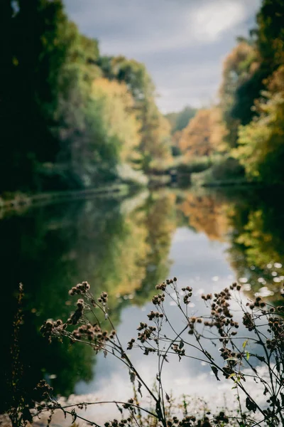 Sokolniki 'de altın sonbahar