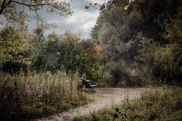 Sokolniki 'de altın sonbahar