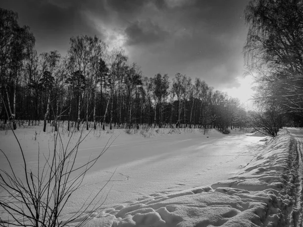 İzmailovo 'da kış 2021 Moskova