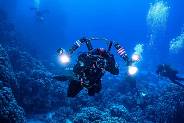 UW Fotoğrafçı: Kızıl Deniz Safarisi 2021  