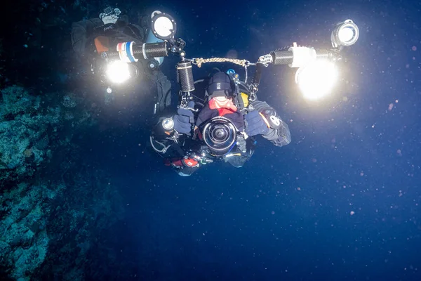 UW Fotoğrafçı: Kızıl Deniz Safarisi 2021  