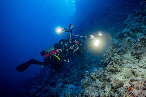 UW Fotoğrafçı: Kızıl Deniz Safarisi 2021  