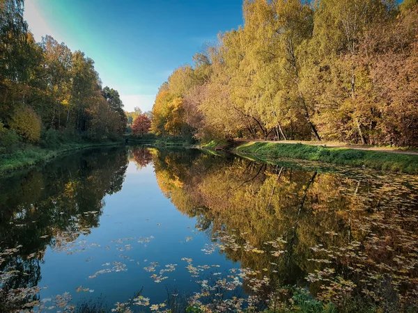 Sokolniki 'de altın sonbahar