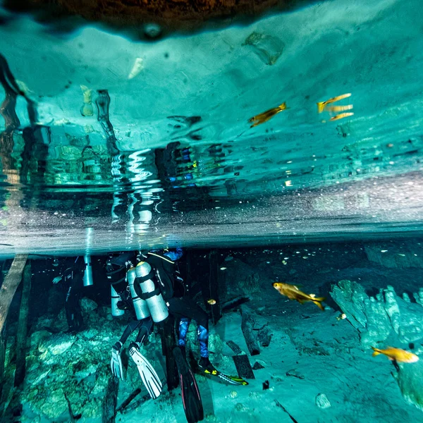 Meksika mağara dalışı 2022 merkezlerinde