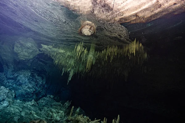 Meksika mağara dalışı 2022 merkezlerinde