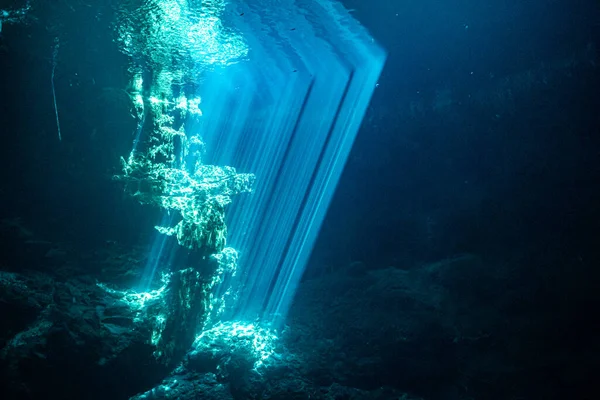 Meksika mağara dalışı 2022 merkezlerinde