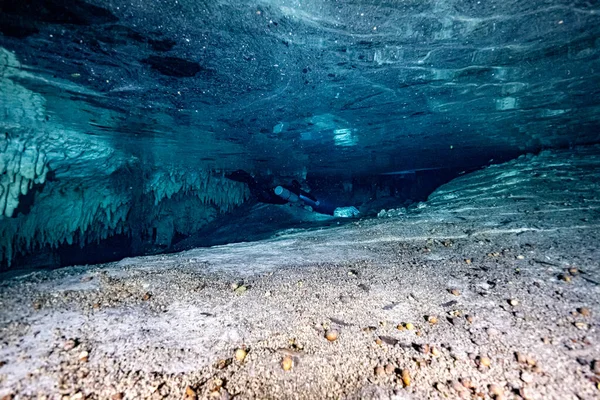 Meksika mağara dalışı 2022 merkezlerinde