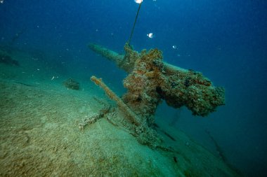 Hırvatistan. Sprey dalışı. Koyu mavi 2021