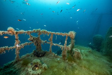 Hırvatistan. Sprey dalışı. Koyu mavi 2021