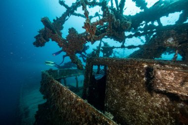 Hırvatistan. Sprey dalışı. Koyu mavi 2021