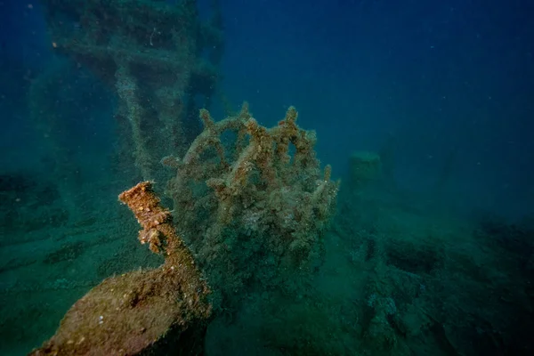 Hırvatistan. Sprey dalışı. Koyu mavi 2021