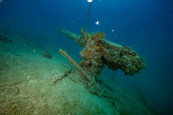 Croatia. Wrack diving. Deep blue 2021